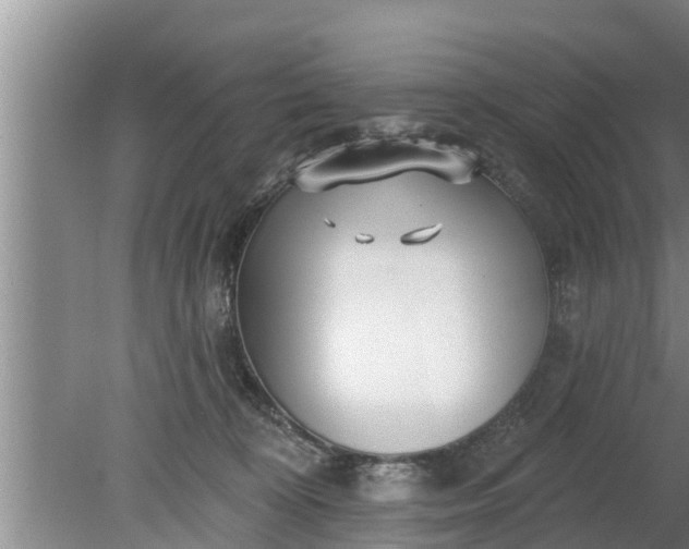 X0000080150324200612221955