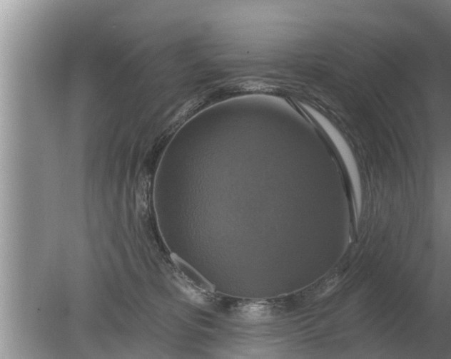 X0000080150325200612221955