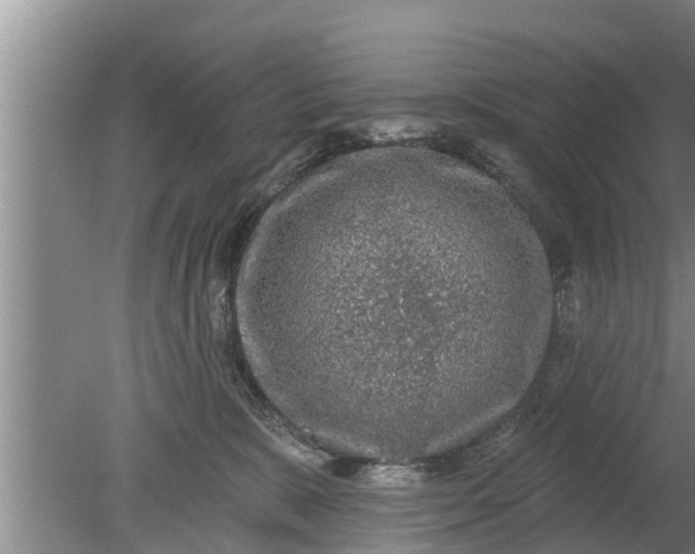 X0000080150327200612221955