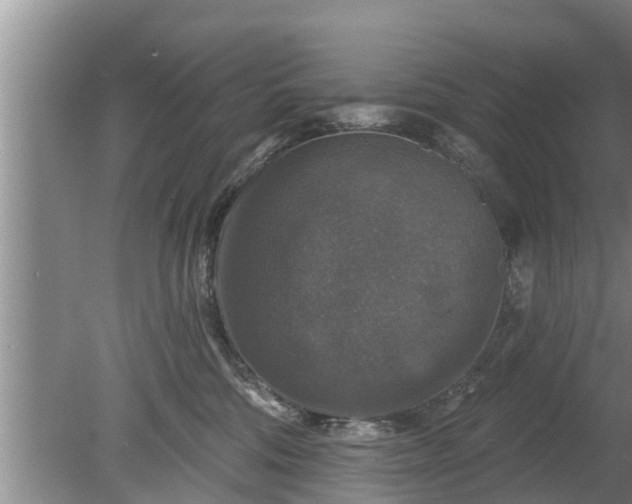 X0000080150330200612221955