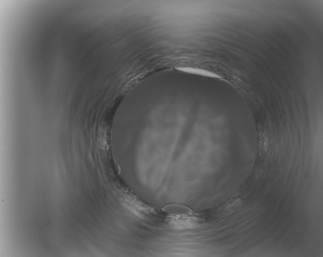 X0000080150331200612221955