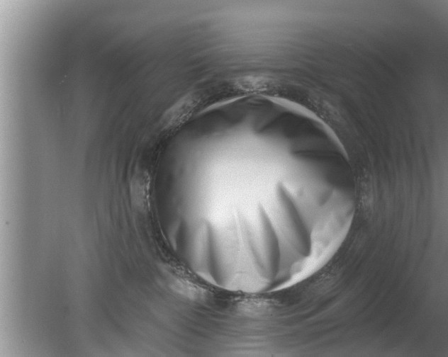 X0000080150332200612221955