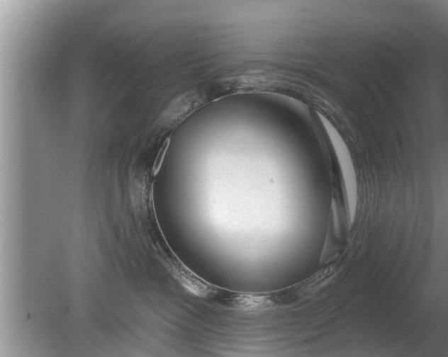 X0000080150333200612221955