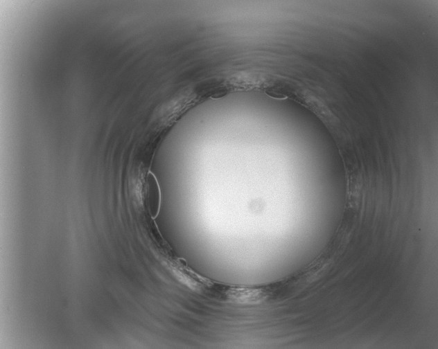 X0000080150334200612221955