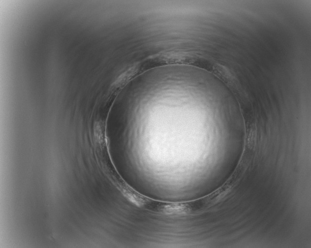 X0000080150335200612221955