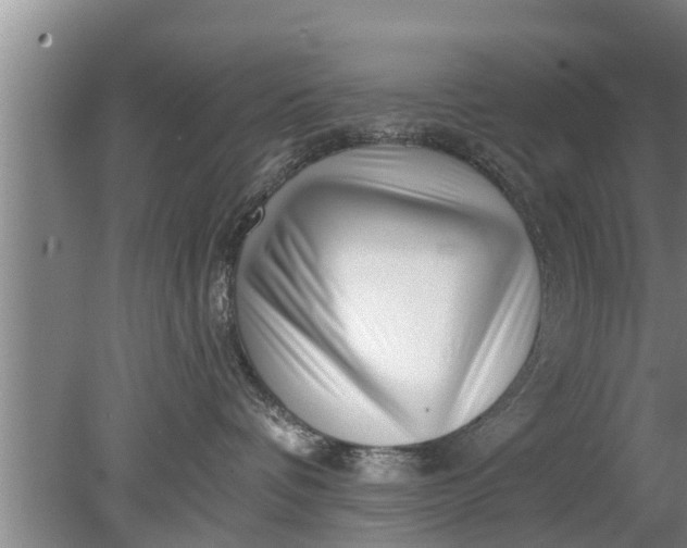 X0000080150336200612221955