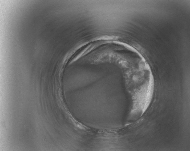 X0000080150337200612221954