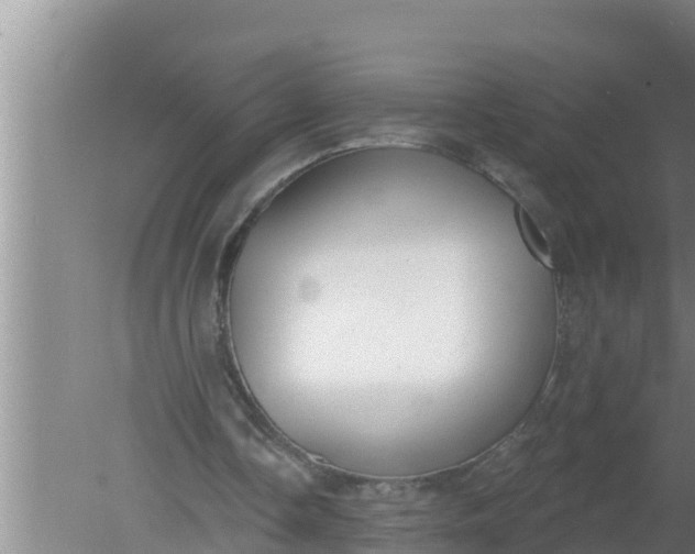 X0000080150338200612221954