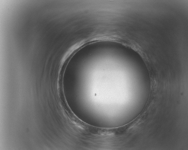 X0000080150340200612221955