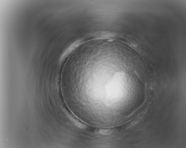 X0000080150341200612221955