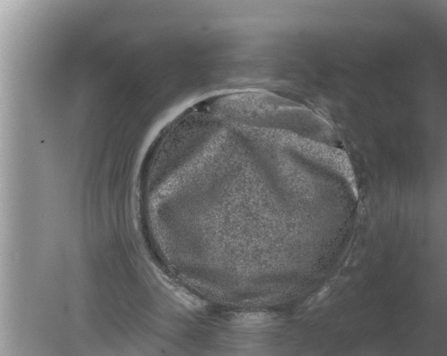 X0000080150342200612221955