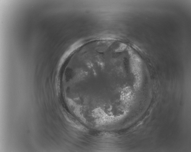 X0000080150343200612221955