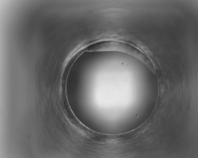 X0000080150344200612221955