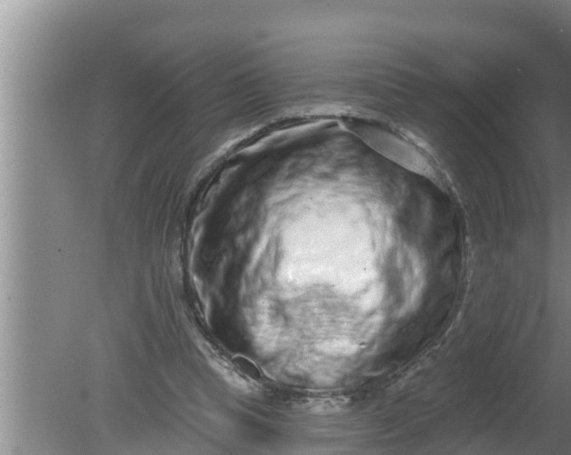 X0000080150345200612221955