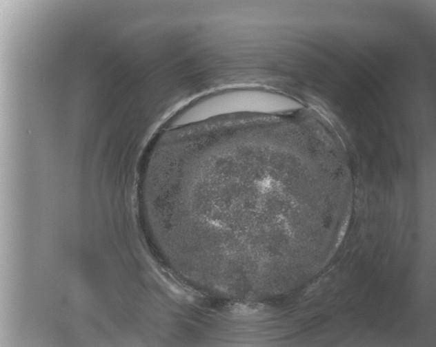 X0000080150346200612221955