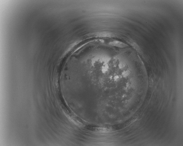 X0000080150347200612221955