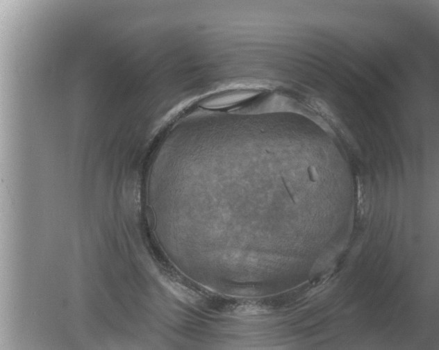 X0000080150348200612221955