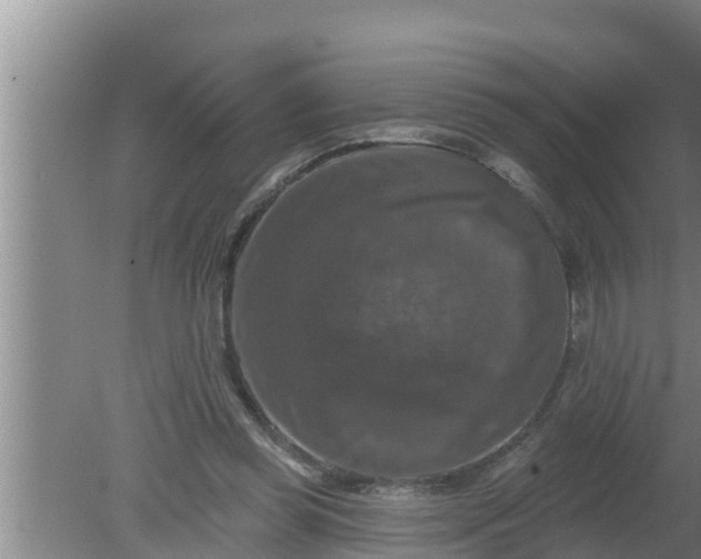 X0000080150349200612221955