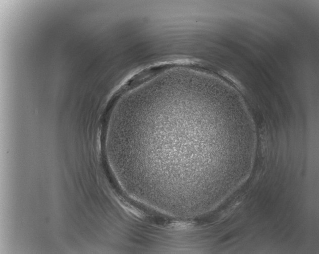 X0000080150350200612221955