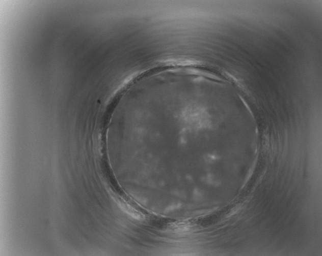 X0000080150351200612221955