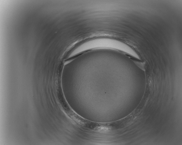 X0000080150352200612221955