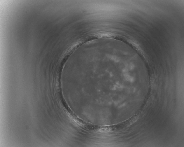 X0000080150353200612221955