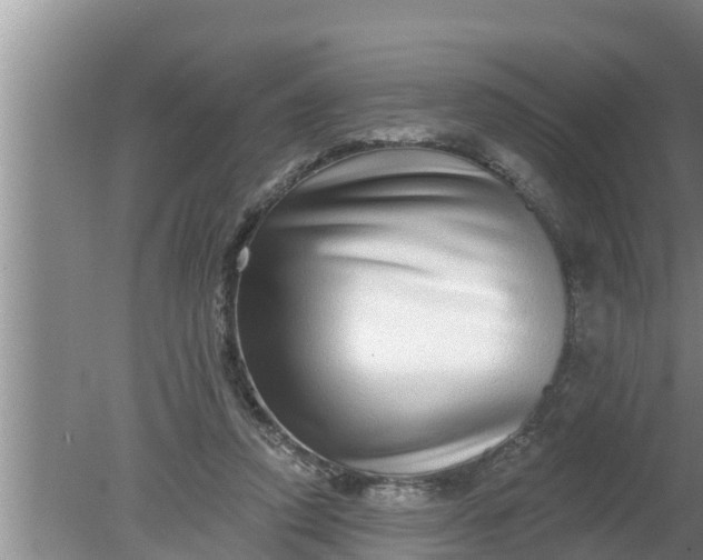 X0000080150354200612221955