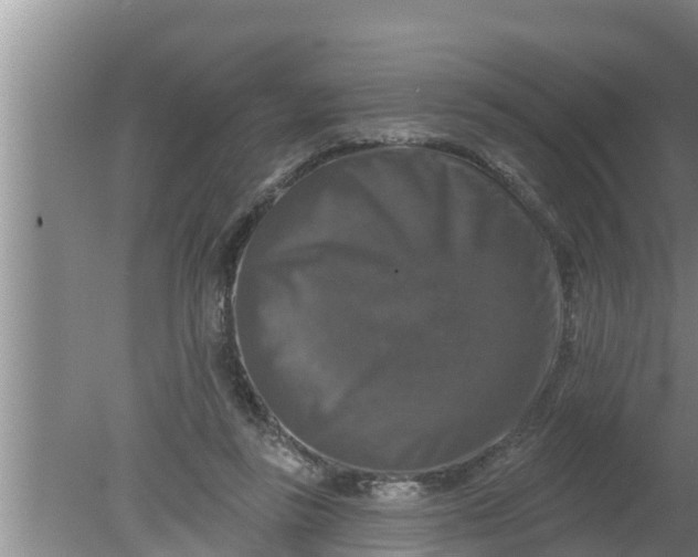 X0000080150355200612221955