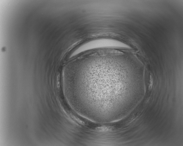 X0000080150356200612221955