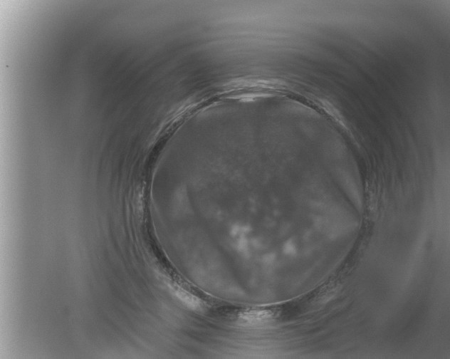 X0000080150357200612221955