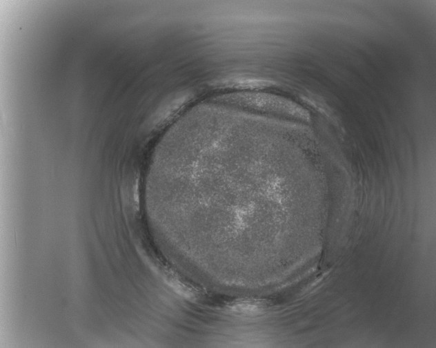 X0000080150358200612221955