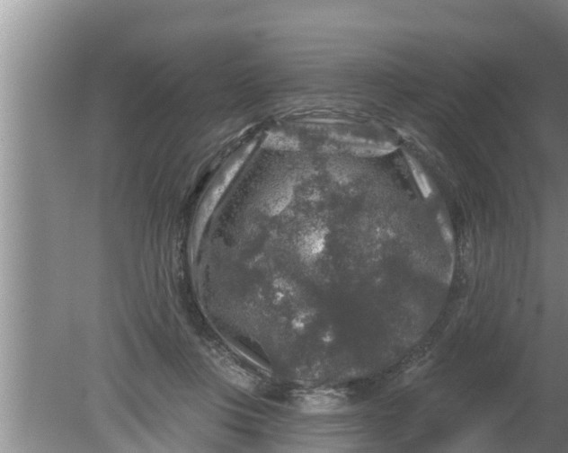 X0000080150359200612221955