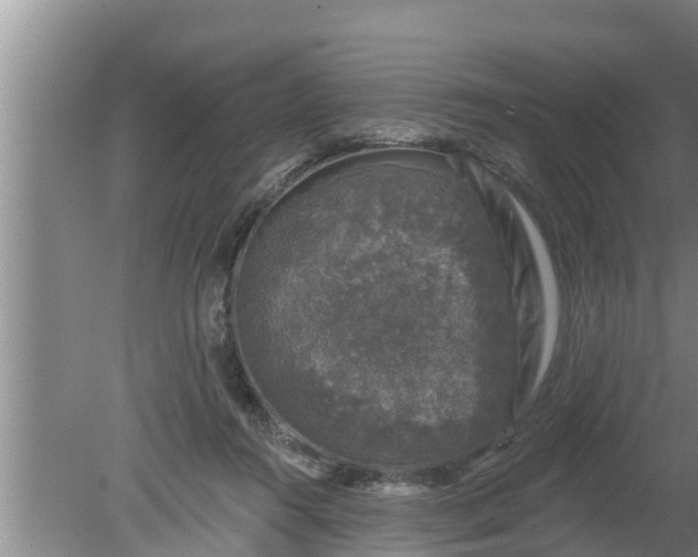 X0000080150360200612221955