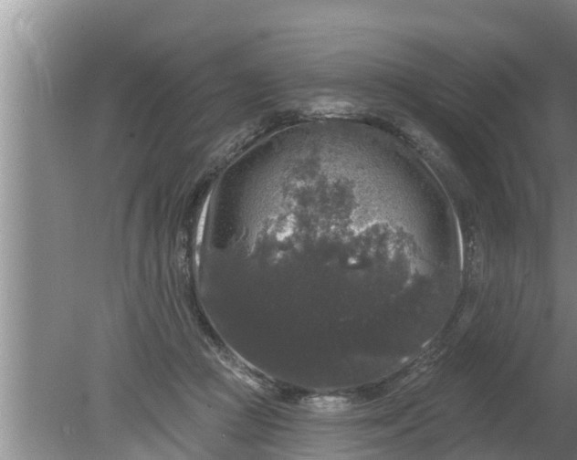 X0000080150361200612221955