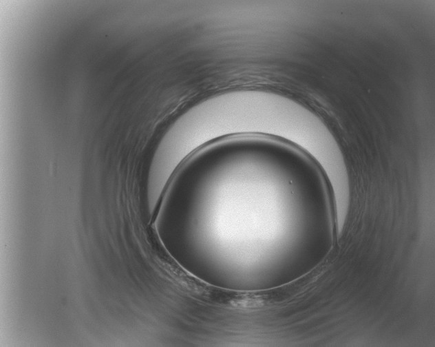 X0000080150362200612221955