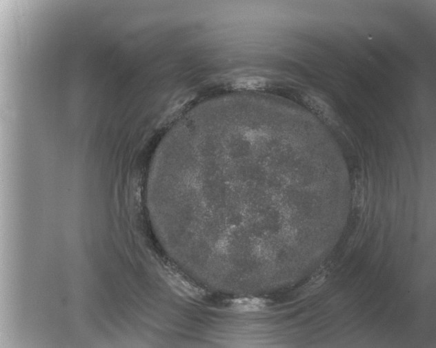 X0000080150363200612221955