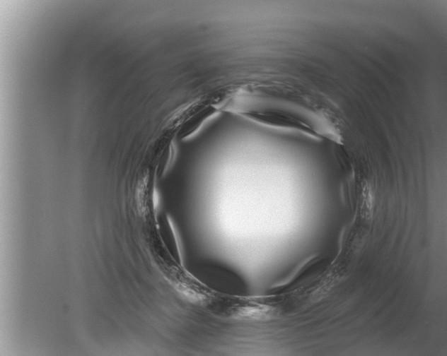 X0000080150364200612221955