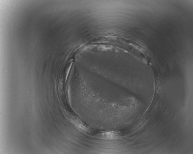 X0000080150365200612221955