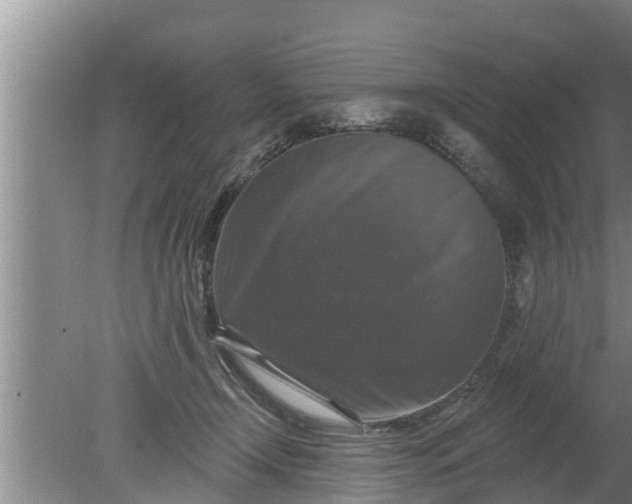 X0000080150366200612221955