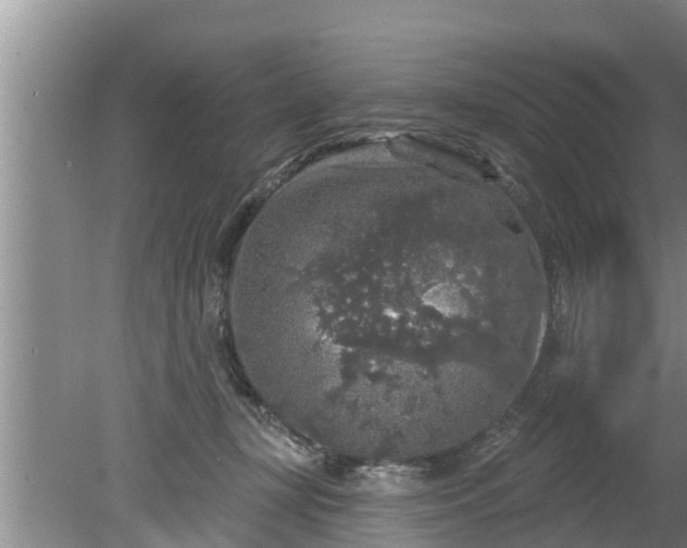 X0000080150367200612221955