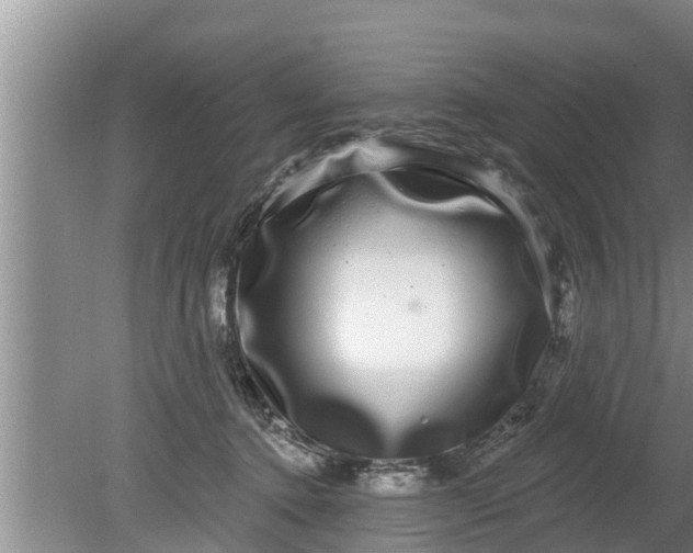 X0000080150368200612221955