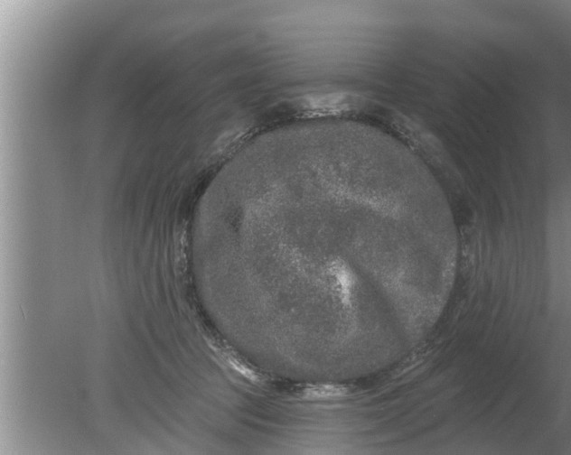 X0000080150369200612221955