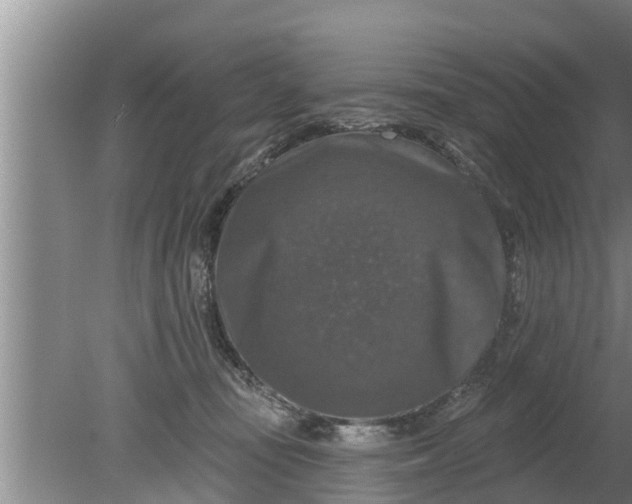 X0000080150371200612221955