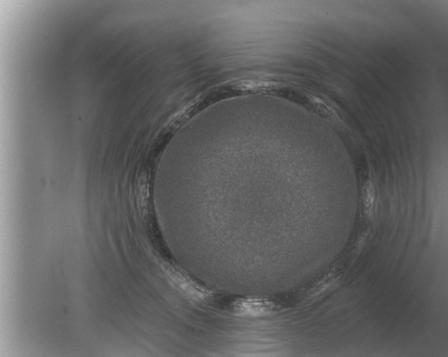 X0000080150372200612221955