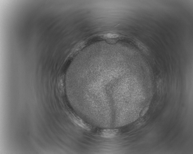 X0000080150373200612221955