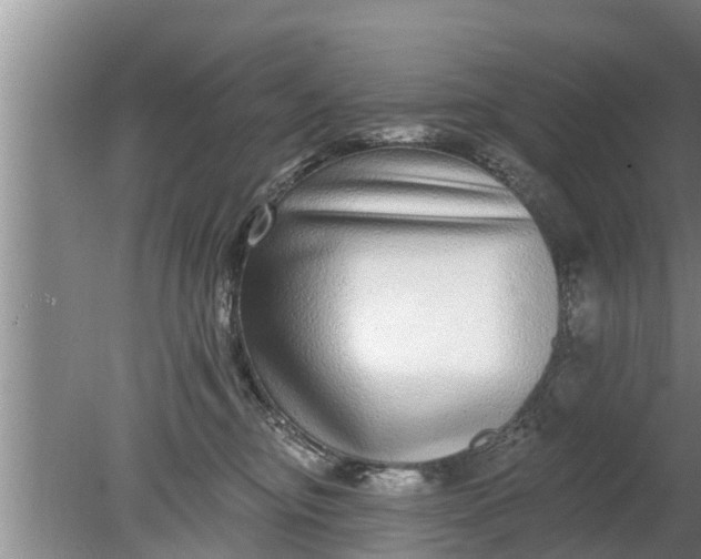 X0000080150374200612221955