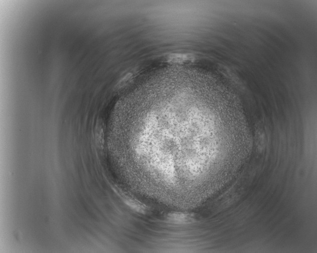 X0000080150375200612221955