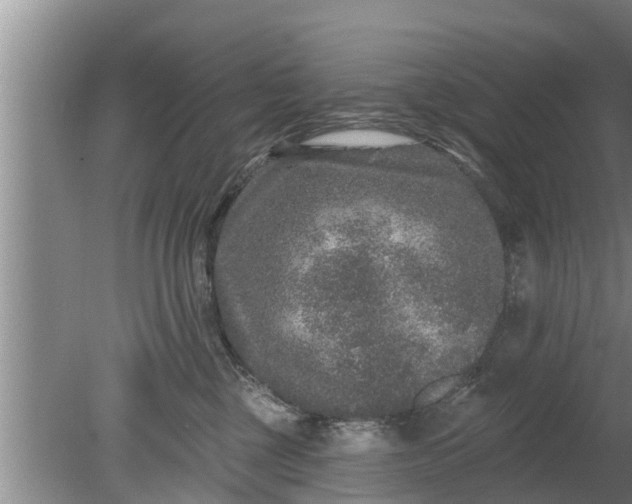 X0000080150377200612221955