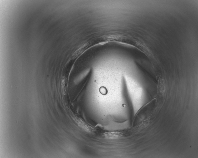 X0000080150378200612221955