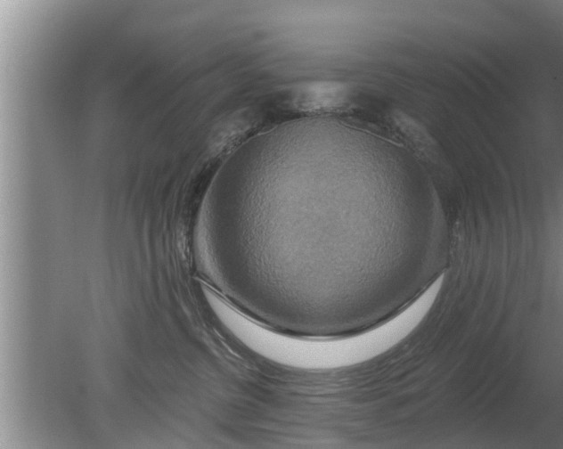 X0000080150380200612221955